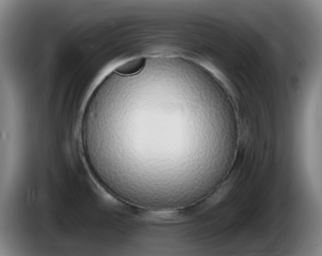 X0000086111486200703301226