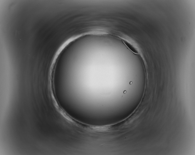 X0000086111488200703301226