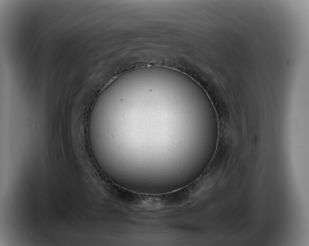 X0000086111489200703301225