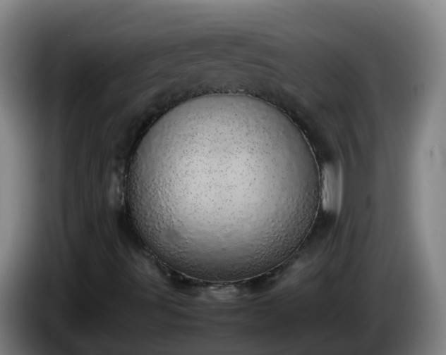 X0000086111491200703301225