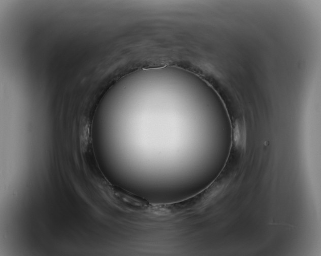 X0000086111492200703301225