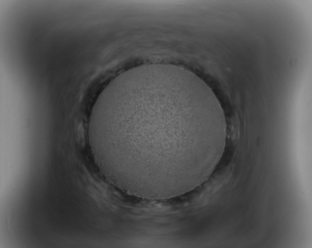X0000086111493200703301225