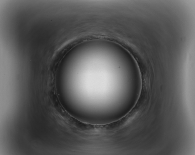 X0000086111494200703301225