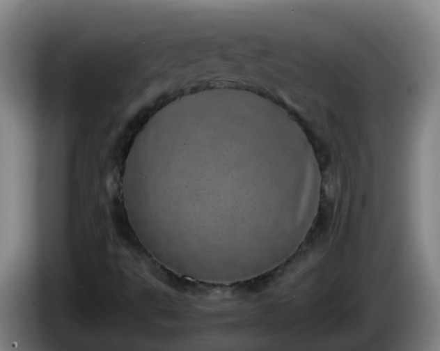 X0000086111495200703301225