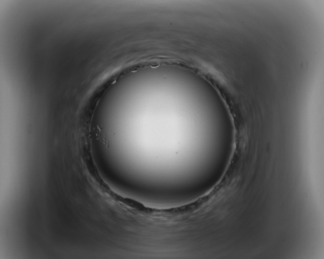X0000086111496200703301225