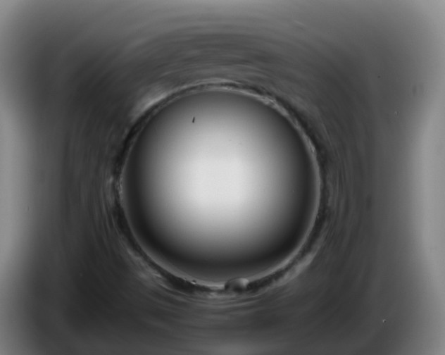 X0000086111497200703301225