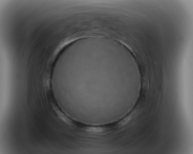 X0000086111499200703301225