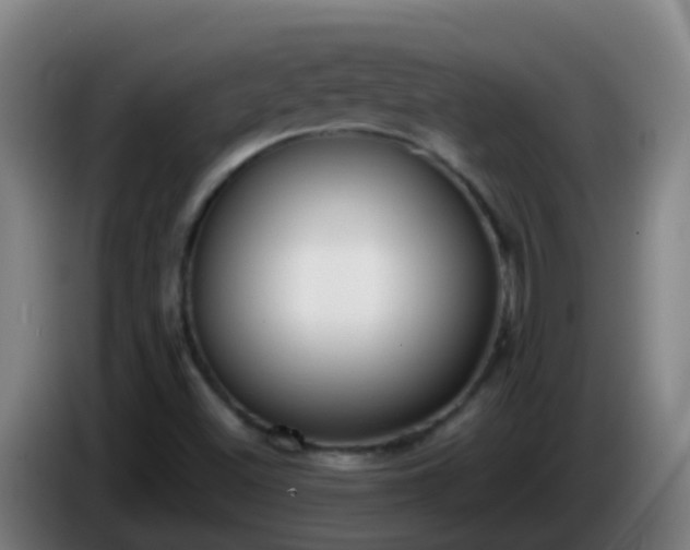 X0000086111500200703301225