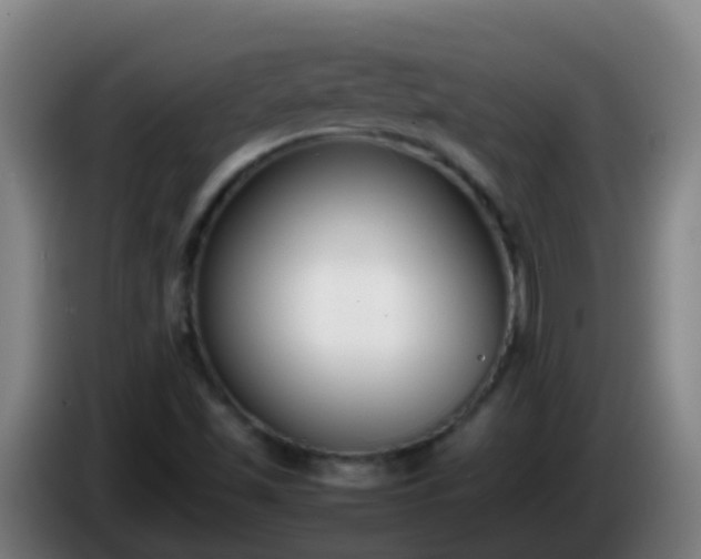 X0000086111501200703301225
