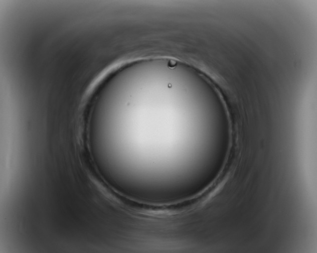 X0000086111502200703301225