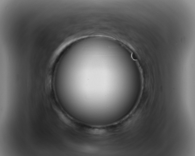 X0000086111503200703301225
