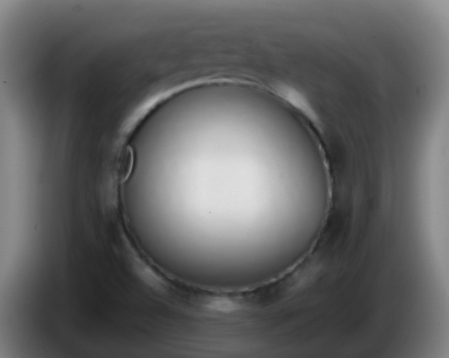 X0000086111504200703301225