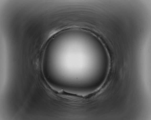 X0000086111505200703301225