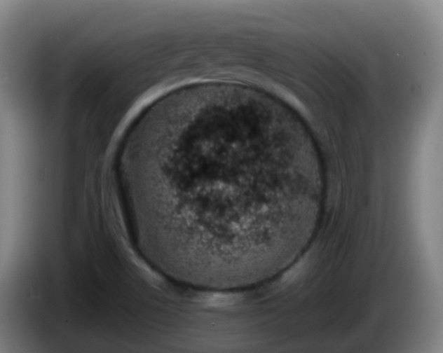 X0000086111506200703301225