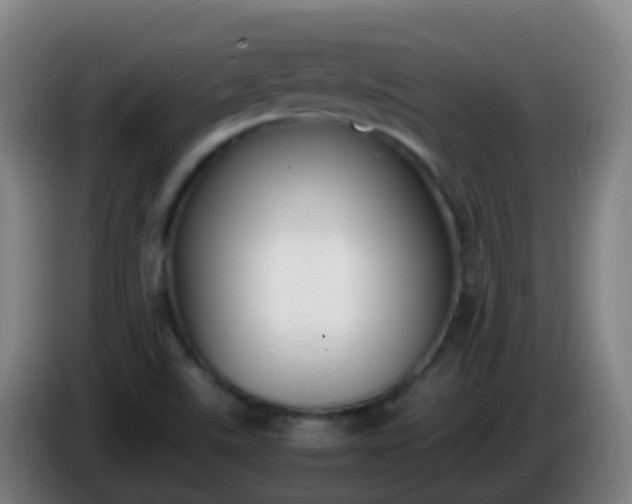 X0000086111507200703301225