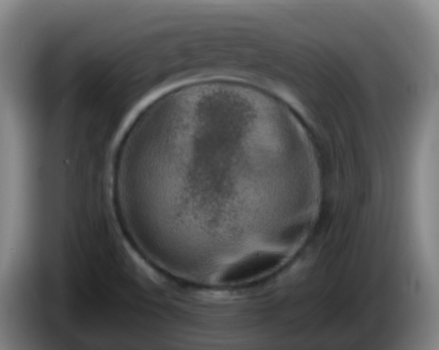 X0000086111508200703301225
