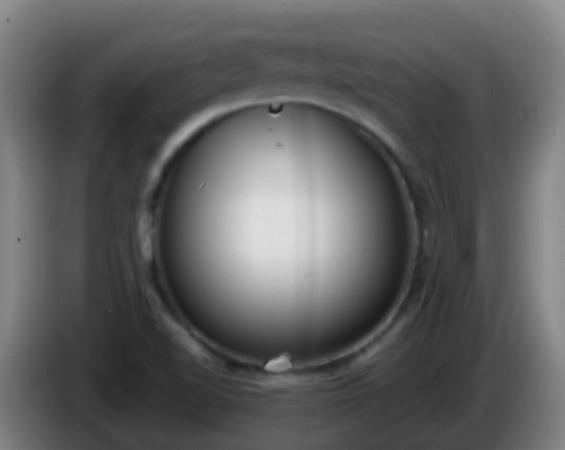 X0000086111510200703301225