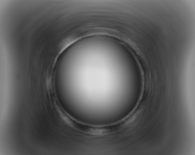 X0000086111513200703301225