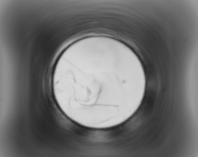 X0000086111514200703301225