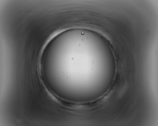 X0000086111517200703301225