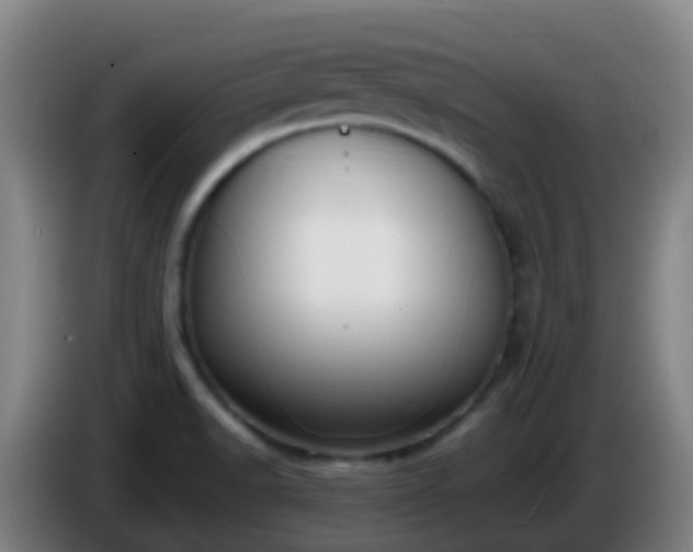 X0000086111518200703301225