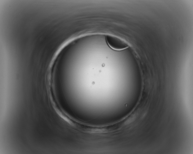 X0000086111519200703301226