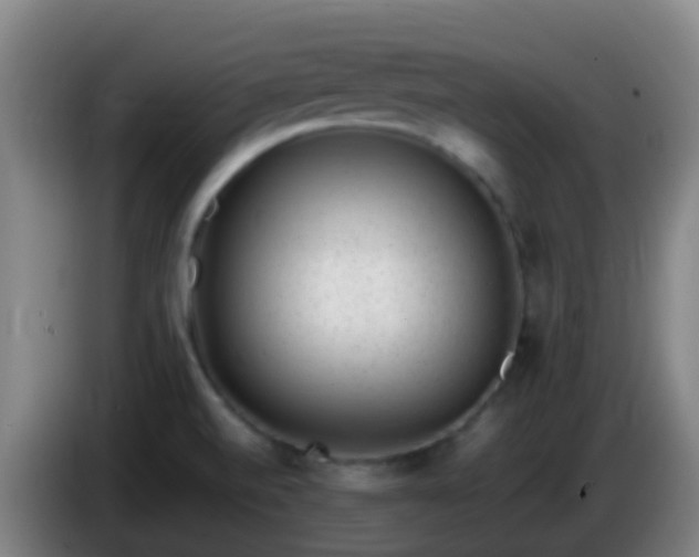X0000086111520200703301226