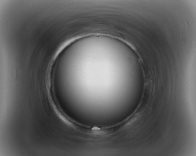 X0000086111523200703301226