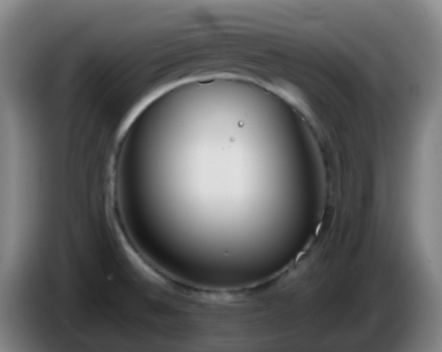 X0000086111524200703301226