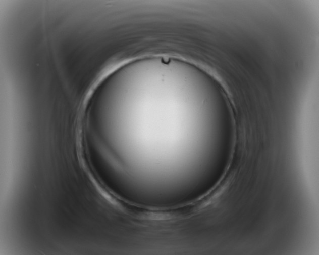 X0000086111525200703301226