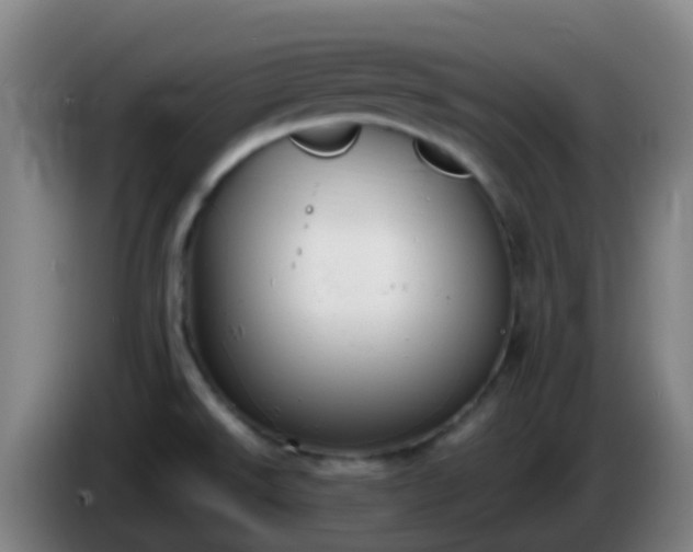 X0000086111526200703301226