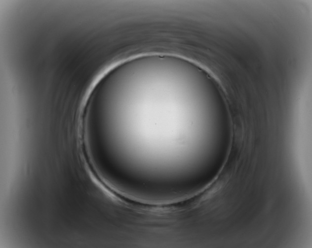 X0000086111527200703301226