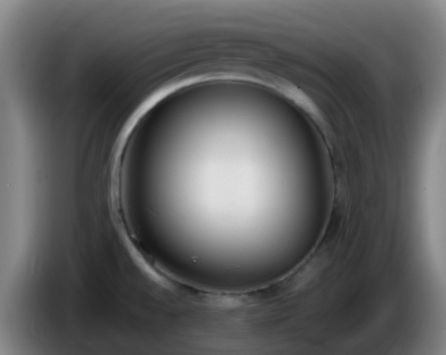 X0000086111528200703301226