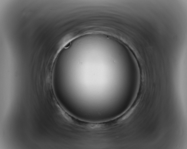 X0000086111529200703301226