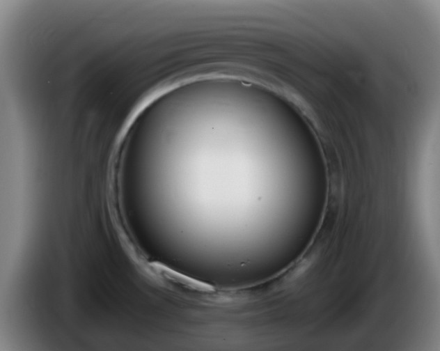 X0000086111530200703301226