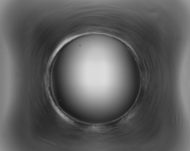 X0000086111531200703301226