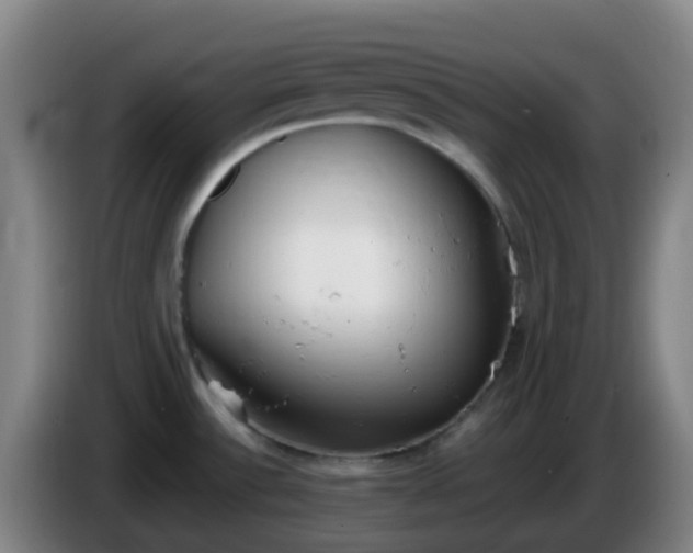 X0000086111532200703301226