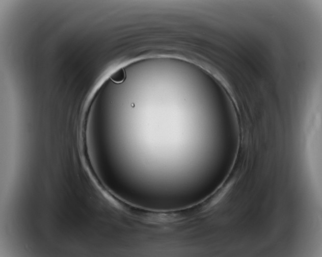 X0000086111533200703301226