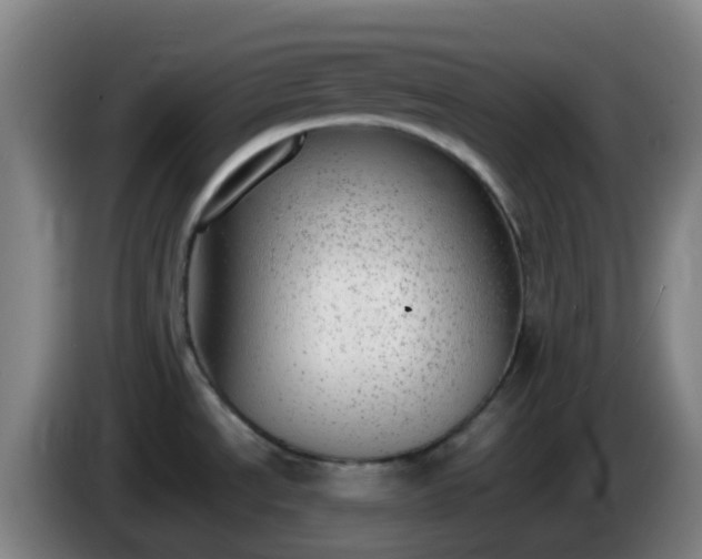 X0000086111534200703301226