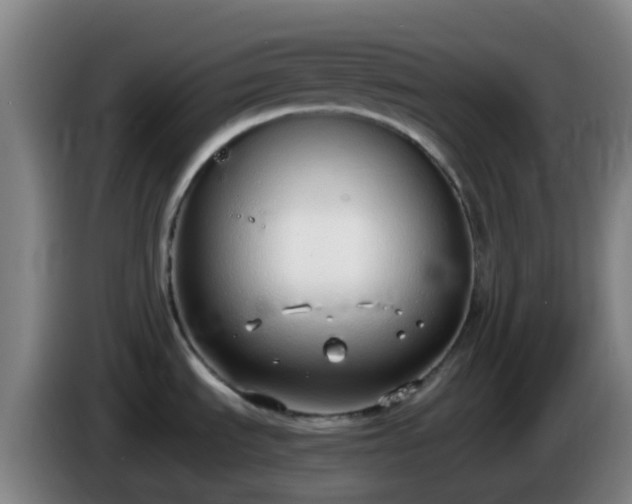 X0000086111535200703301226