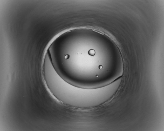 X0000086111536200703301226