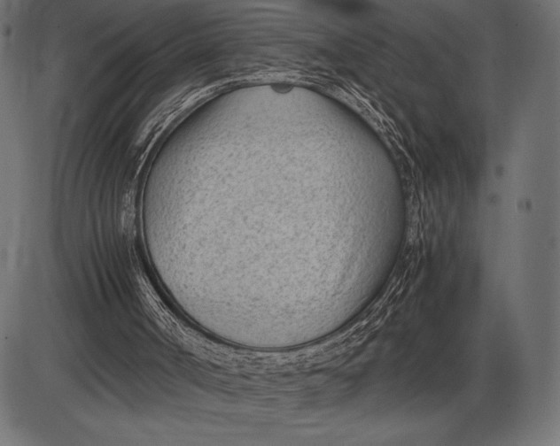 X0000086110002200704091430