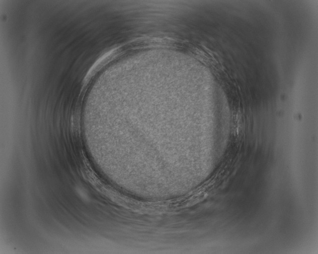 X0000086110004200704091430