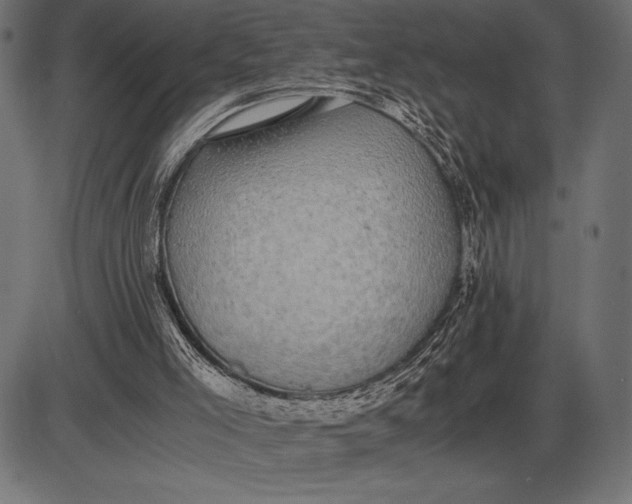 X0000086110005200704091430