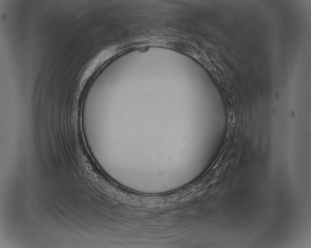 X0000086110006200704091430