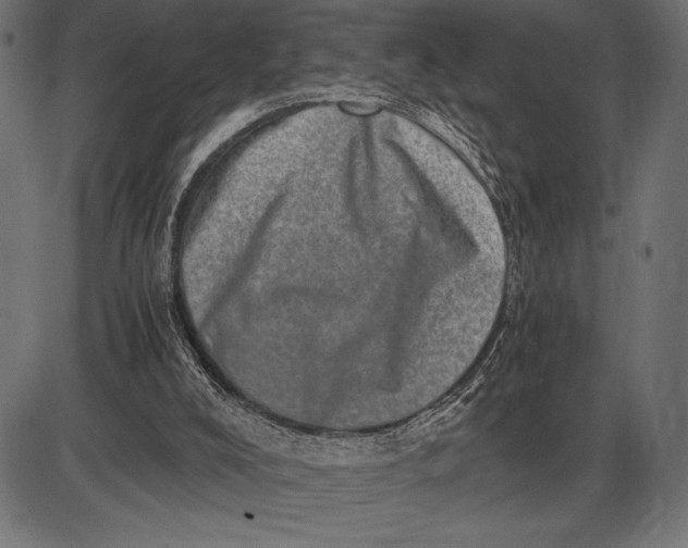 X0000086110008200704091430