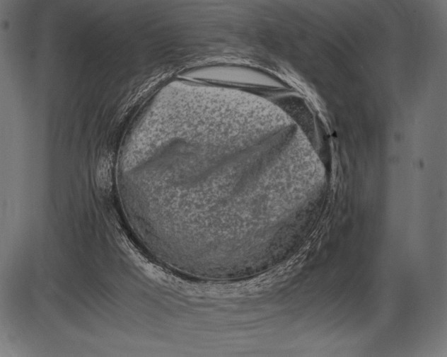 X0000086110009200704091430