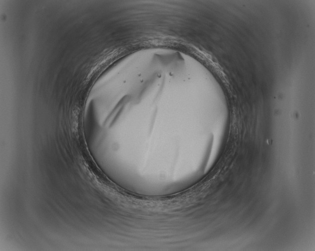 X0000086110010200704091430