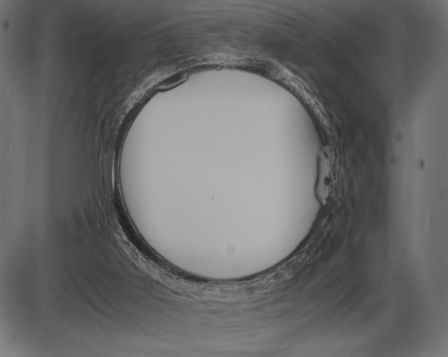 X0000086110011200704091430