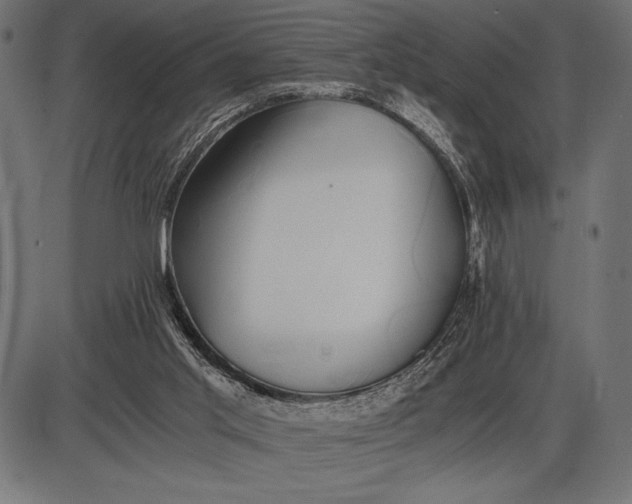 X0000086110013200704091430